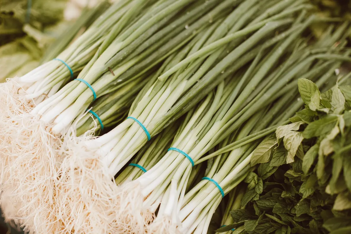 Farmers' Market vs Farm Shop: Where to Buy Kent Produce