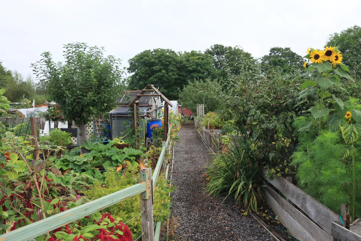 How to Join a Kent Community Allotment: A Step-by-Step Guide